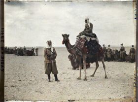 Image représentant Officiers des troupes françaises à dromadaire