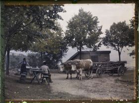 Image représentant France, Le Salève, Tableau au lieu dit "Croix" au Salève ( Gd Salève)