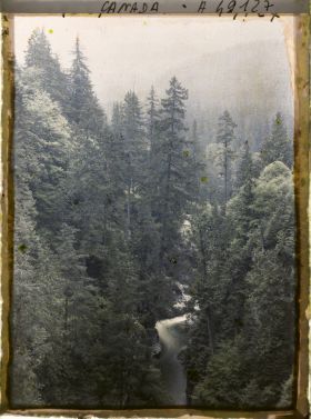 Image représentant Canada, Vancouver, Capilano Canyon- Paysage sous la pluie au 2e Canyon