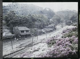 Image représentant Azalées en fleurs le long d'une voie ferrée dans un village