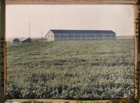 Image représentant France, Laffaux, Ferme de l'Ange Gardien  et Aspect du Sol