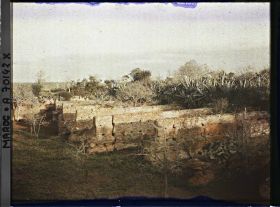 Image représentant Petits murets près de cactus