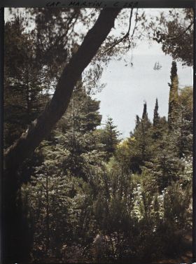 Image représentant Cap-Martin - Le Jardin