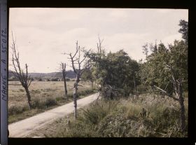 Image représentant France, De la Harazée au Four de Paris , Un coin de la Vallée de Bienne, vue prise de ladite route