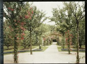 Image représentant Axe central du verger-roseraie vu en direction du jardin anglais depuis le rond-point côté dépendance