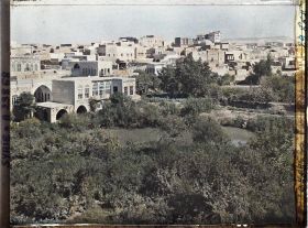 Image représentant Les jardins et vergers des rives de l'Oronte et la ville