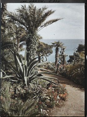 Image représentant Cap-Martin - Le Jardin