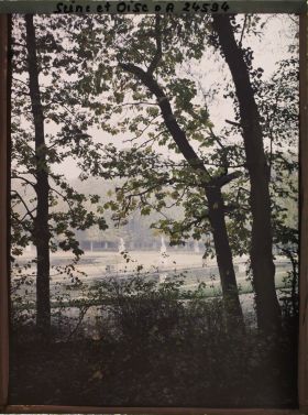 Image représentant Les bassins de la Petite Gerbe et des Vingt-Quatre Jets vus à travers les arbres du petit parc