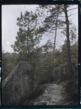 Image représentant France, Fontainebleau, Forêt de Fontainebleau