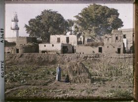 Image représentant Deux hommes dans un jardin potager aux abords du village