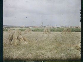 Image représentant France, Willerwal, Vue s/ le Village et la Campagne