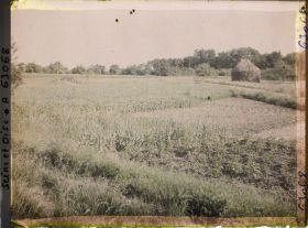 Image représentant Ile de France, Vaux, Cultures diverses