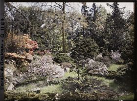 Image représentant Versant arboré face à la maison ouest du " village japonais ", situé à l'ouest du pavillon de thé