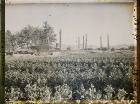 Image représentant L'ensemble de Gawhar-Châd : le dôme du mausolée, un minaret de la Musalla, un minaret de l'entrée de la Madrassa et les minarets de la Madrasa Ni'Matiye