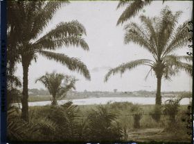 Image représentant Paysage en direction de la lagune, à Porto-Novo ?