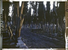 Image représentant Turquie, Constantinople, Soleil Couchant au Cimetière de Teckfour- Seraï