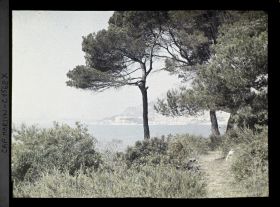Image représentant Chemin situé en partie basse du jardin, vu en direction de Monaco