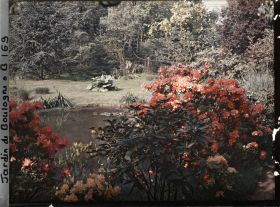 Image représentant Massifs d'azalées et de rhododendrons en bordure d'un étang au nord du marais