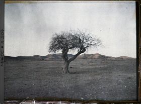 Image représentant Le bled