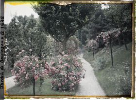 Image représentant Parterres fleuris au centre de l'allée située au sud du verger-roseraie, vus en direction de l'est