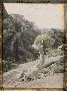 Image représentant Paysage de montagne