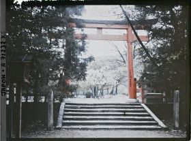 Image représentant Torii dans un sanctuaire