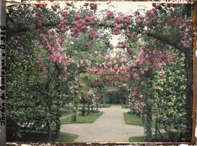 Image représentant Axe central du verger-roseraie vu près du second carrefour avant la dépendance