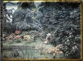 Image représentant Bord " d'étang " fleuri en partie nord-est du marais, vu en direction du nord