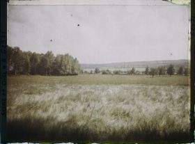 Image représentant Ile de France, Montroult, Pâturages versés par la pluie et le vent