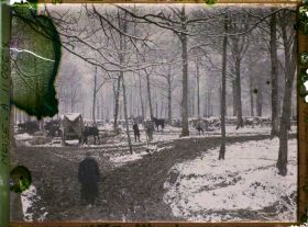 Image représentant France, Sous Verdun, Divers