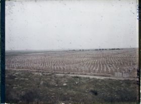 Image représentant France, La Targette, Vue panoramique du Cimetière Français (7000 tombes)