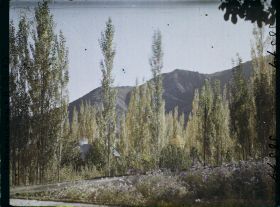 Image représentant Afghanistan, Kaboul, Jardin du Palais du Roi - Vue vers les Montagnes de Paghman