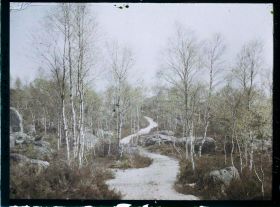 Image représentant France, Fontainebleau, Forêt de Fontainebleau