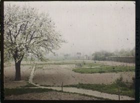 Image représentant France , Trappes (Seine et Oise), Un Champs rue de Chevreuse