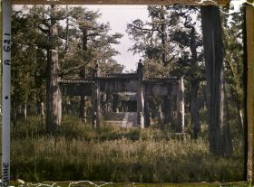 Image représentant Konglin, la nécropole de la famille de Confucius