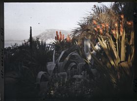 Image représentant Le Jardin échappée s/ Monaco