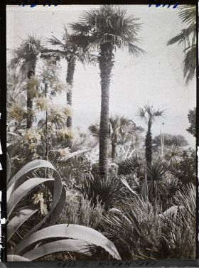 Image représentant le Jardin