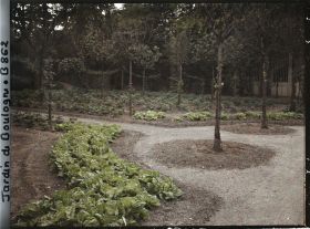 Image représentant Rond-point bordé de légumes et partie sud-ouest du verger-roseraie, vus vers la dépendance ?