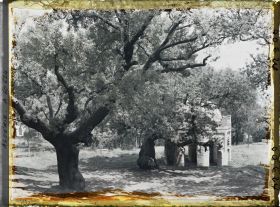 Image représentant Le tombeau de la Sultane dans le bois sacré de Sidi Yakoub