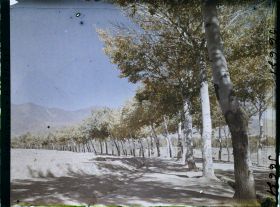 Image représentant Afghanistan, Kaboul, La route de Paghman Kaboul, autre aspect