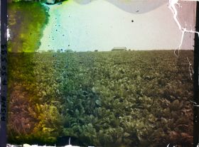 Image représentant France, Laffaux, Vue vers le Village et Champ de Betteraves