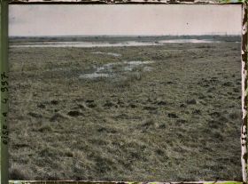 Image représentant Les marais de Saint-Gond