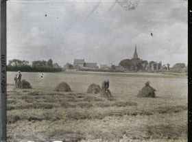 Image représentant France, Rexpoède, Le Trèfle
