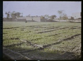 Image représentant Champs de cultures aux abords du village