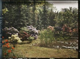 Image représentant Pavots d'Orient et arbustes en fleurs ornant la partie nord-est du marais, vue en direction de l'est
