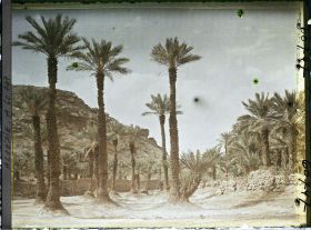 Image représentant Vue de l'oasis avec l'éperon rocheux de la hamada