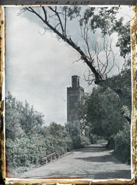Image représentant La route menant à la mosquée, avec à l'arrière-plan le minaret