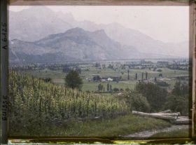 Image représentant Culture de la vigne aux abords du château de Sargans