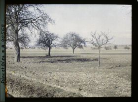 Image représentant France, Les Clayes, Champs et Pommiers