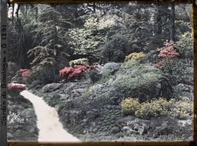 Image représentant Rocaille fleurie au bord d'un chemin du " sanctuaire japonais " située non loin du sorinto